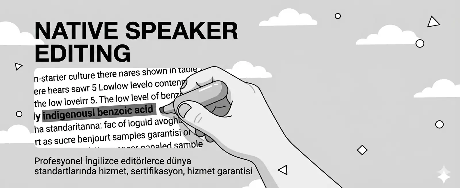 Native-speaker Editing