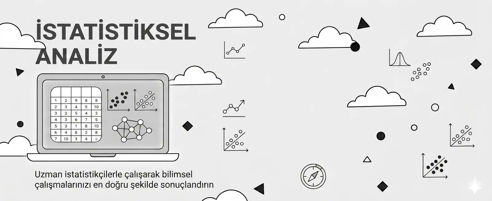 İstatistiksel Analiz
